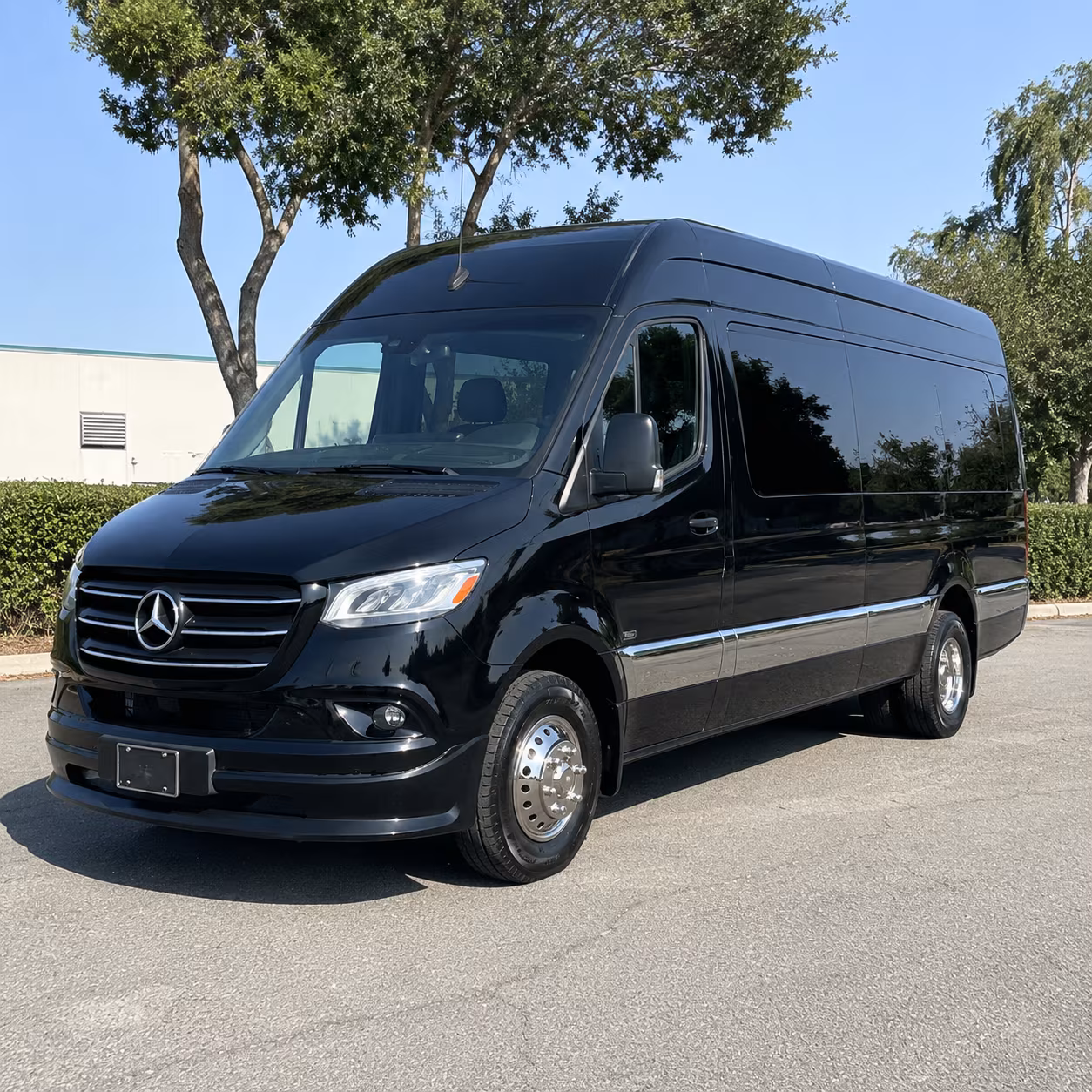 sprinter vans and small group buses for executive travel in warner robins