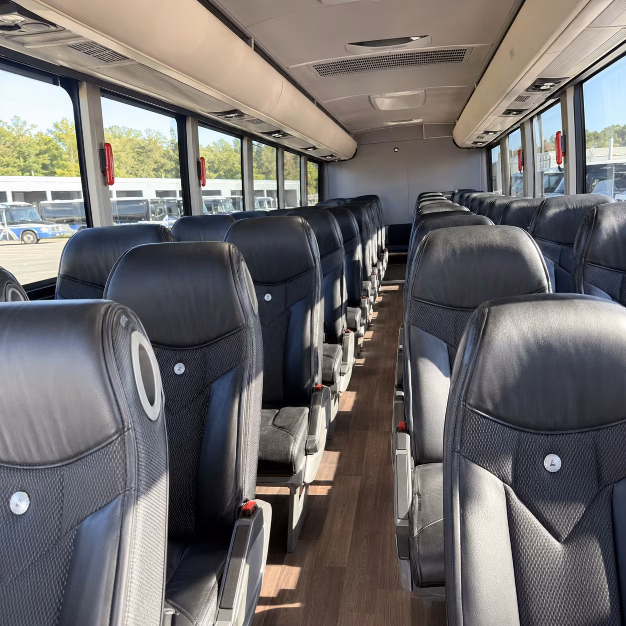 warner robins birthday party transportation onboard seating