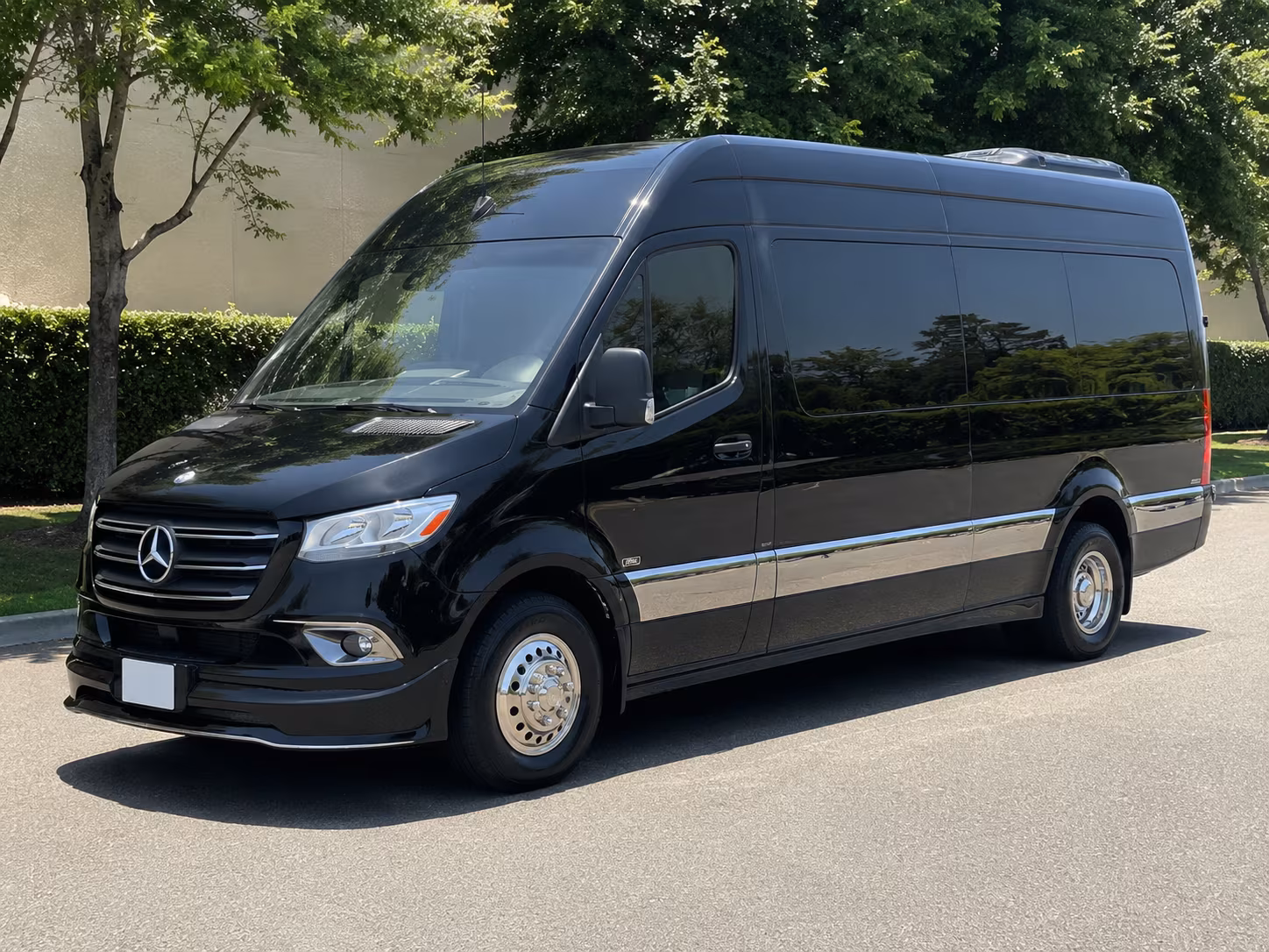 warner robins sprinter van with driver